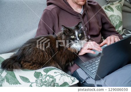 Man working on laptop with black and white cat lying on his knees at home 129086030