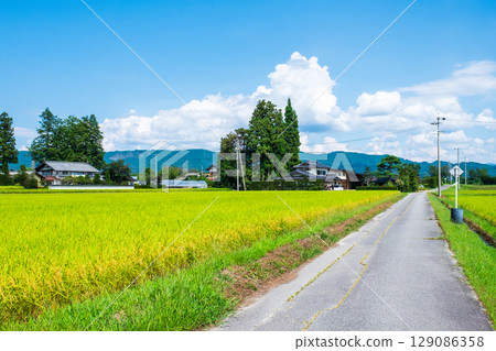 國家景觀在夏天 國家景觀在夏天 129086358