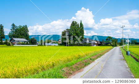 Country landscape in summer 129086360