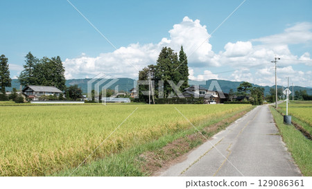Country landscape in summer 129086361