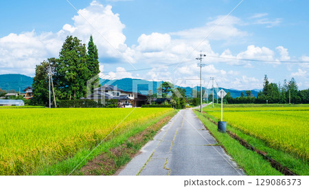國家景觀在夏天 129086373