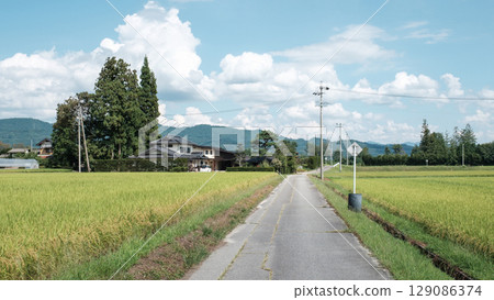 Country landscape in summer 129086374