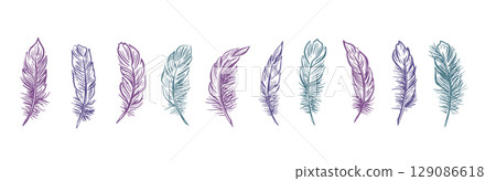feather, background, sketch 129086618