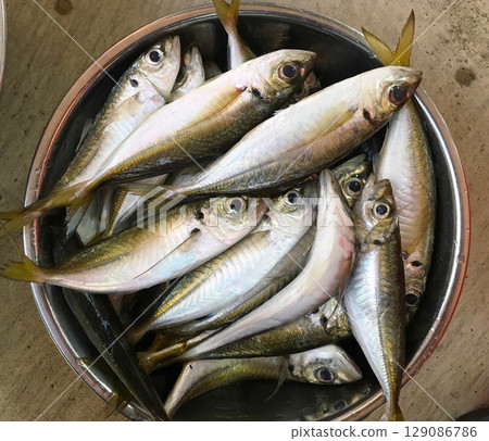 新鮮的馬鯖魚 129086786
