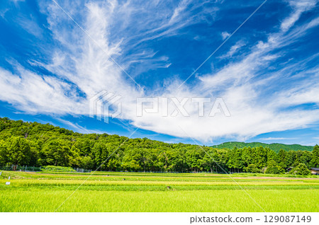 滋賀縣高島市牧野町的田園風光 滋賀縣高島市牧野町的田園風光 129087149