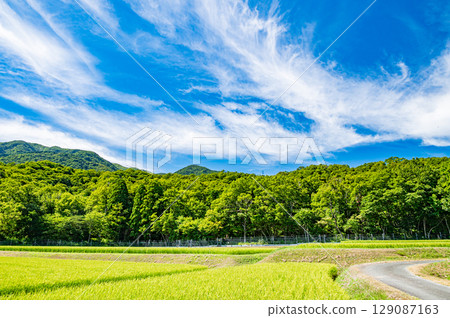 滋賀縣高島市牧野町的田園風光 滋賀縣高島市牧野町的田園風光 129087163