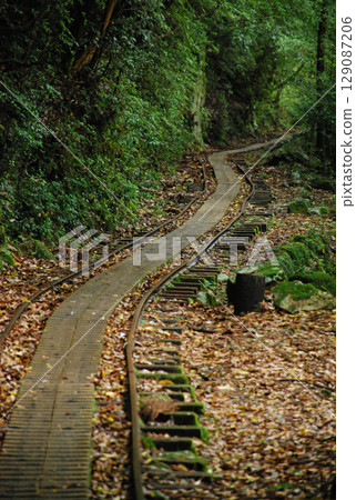 Yakushima Forest Railway Tracks Yakushima Forest Railway Tracks 129087206