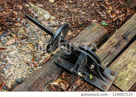 Yakushima Forest Railway's point switch 129087225