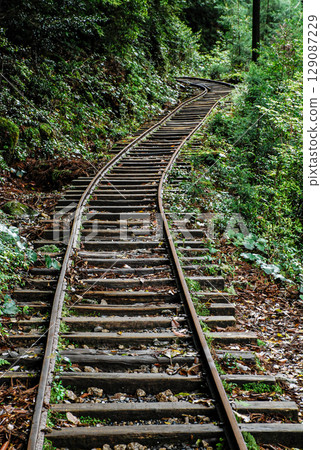 屋久島森林鐵路 129087229