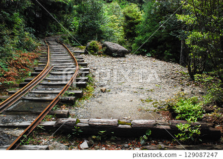 屋久島森林鐵路 129087247