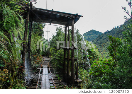 Yakushima Forest Railway Tracks Yakushima Forest Railway Tracks 129087250