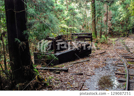 A decommissioned and decaying diesel locomotive from the Yakushima Forest Railway A decommissioned and decaying diesel locomotive from the Yakushima Forest Railway 129087251