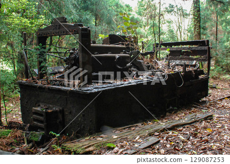 A decommissioned and decaying diesel locomotive from the Yakushima Forest Railway 129087253