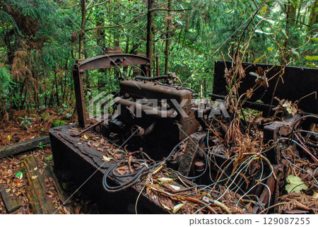 A decommissioned and decaying diesel locomotive from the Yakushima Forest Railway 129087255