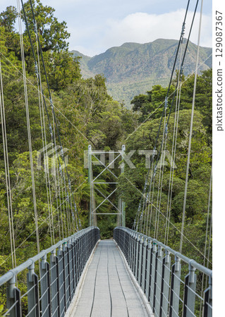 紐西蘭西海岸霍基蒂卡峽谷河上的一座吊橋 129087367