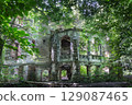 Overgrown Moes Palace built in 1880, Wierbka, Poland 129087465