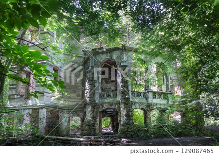 Overgrown Moes Palace built in 1880, Wierbka, Poland 129087465
