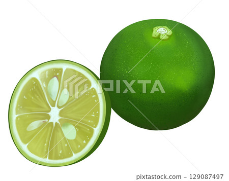 Sudachi illustration Sudachi illustration 129087497