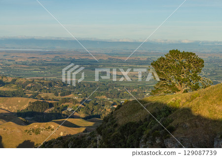 紐西蘭霍克斯灣蒂瑪塔峰頂的清晨景色 129087739