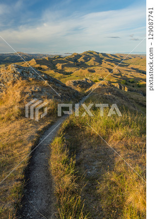 Morning view from the top of Te Mata Peak in Hawke's Bay, New Zealand 129087741