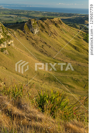 Morning view from the top of Te Mata Peak in Hawke's Bay, New Zealand Morning view from the top of Te Mata Peak in Hawke's Bay, New Zealand 129087759