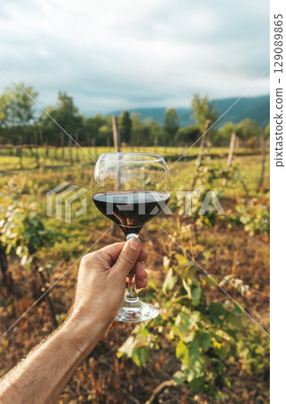 Hand Holding Red Wine Glass in Vineyard on a Summer Day 129089865