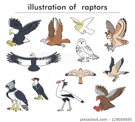 Birds of prey hand drawn illustration set 129089895