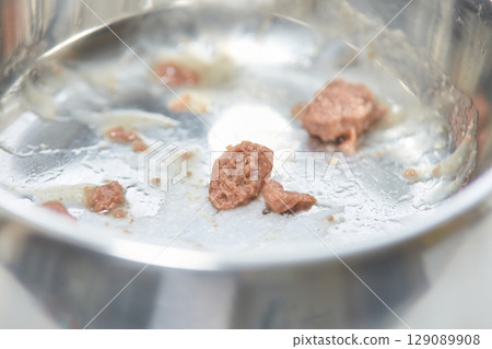 Empty pet food bowl with remaining kibble pieces in stainless steel dish Empty pet food bowl with remaining kibble pieces in stainless steel dish 129089908