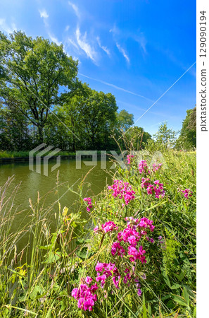 A peaceful riverbank with vibrant wildflowers and a clear blue sky, highlighting natures beauty A peaceful riverbank with vibrant wildflowers and a clear blue sky, highlighting natures beauty 129090194