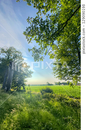 A Serene and Picturesque Landscape with Lush Greenery Surrounded by a Bright Blue Sky 129090198