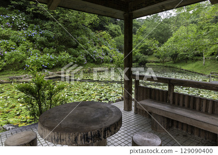 A rest area in a gazebo overlooking hydrangeas and water lilies, and the natural scenery of Minokamo Health Forest 129090400