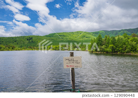 [八千穗高原] 八千穗湖 [佐久穗町] 129090448