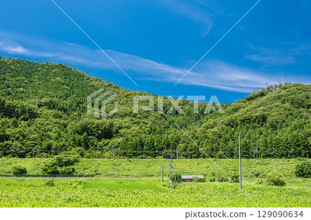 Kosei Line runs through the foot of Mt. Otani in Makinocho, Takashima City, Shiga Prefecture Kosei Line runs through the foot of Mt. Otani in Makinocho, Takashima City, Shiga Prefecture 129090634