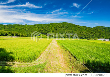 Rural scenery of Makino Town, Takashima City, Shiga Prefecture 129090658