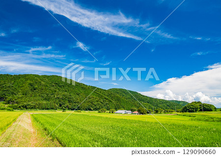 Rural scenery of Makino Town, Takashima City, Shiga Prefecture 129090660