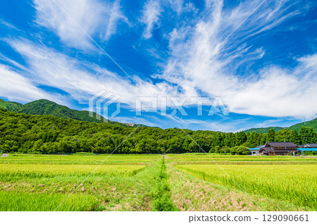 滋賀縣高島市牧野町的田園風光 滋賀縣高島市牧野町的田園風光 129090661