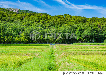 Rural scenery of Makino Town, Takashima City, Shiga Prefecture Rural scenery of Makino Town, Takashima City, Shiga Prefecture 129090662