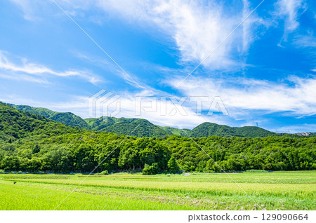 滋賀縣高島市牧野町的田園風光 滋賀縣高島市牧野町的田園風光 129090664