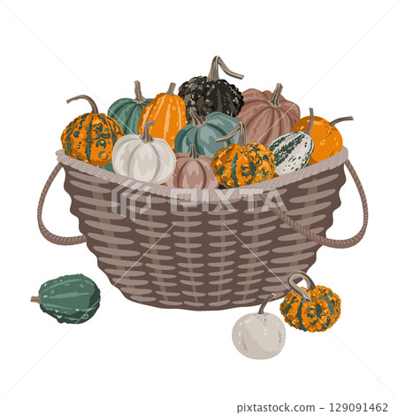 Pumpkin gourds harvest basket, fall composition for Thanksgiving and autumn arrangement card. Vector isolated rustic garden illustration Pumpkin gourds harvest basket, fall composition for Thanksgiving and autumn arrangement card. Vector isolated rustic garden illustration 129091462