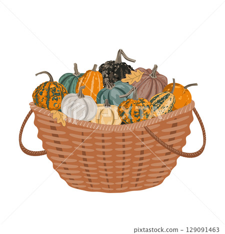 Pumpkin gourds harvest basket, fall composition for Thanksgiving and autumn arrangement card. Vector isolated rustic garden illustration Pumpkin gourds harvest basket, fall composition for Thanksgiving and autumn arrangement card. Vector isolated rustic garden illustration 129091463