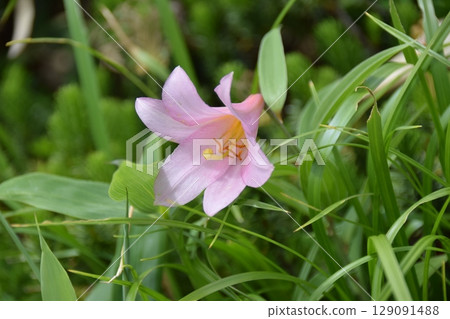 Asahi Mountain Range Itodake 129091488