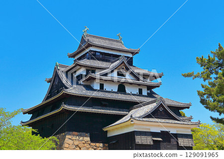 [Shimane Prefecture] Spring at the National Treasure Matsue Castle Keep (12 remaining keep towers) 129091965