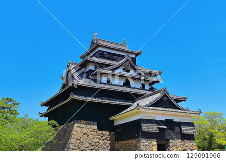 [Shimane Prefecture] Spring at the National Treasure Matsue Castle Keep (12 remaining keep towers) 129091966