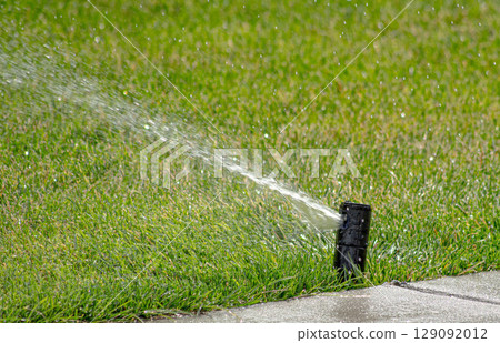 Lawn Sprinkler Watering Fresh Grass 129092012