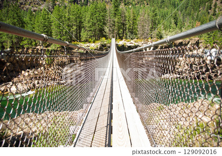 Suspended Bridge in a Lush Green Forest 129092016
