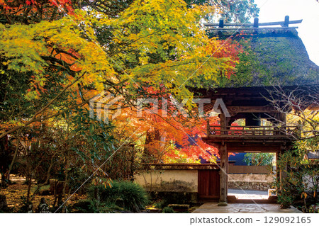 Yufuin Bussanji Temple Gate and Autumn Leaves Yufuin Bussanji Temple Gate and Autumn Leaves 129092165