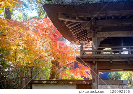 Yufuin Bussanji Temple Gate and Autumn Leaves Yufuin Bussanji Temple Gate and Autumn Leaves 129092166