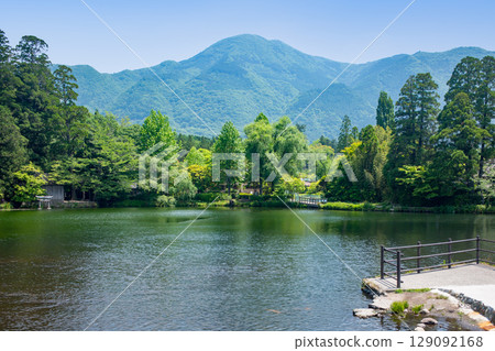 Fresh green Yufuin Kinka Lake 129092168