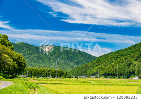 滋賀縣高島市牧野町的田園風光 129092233