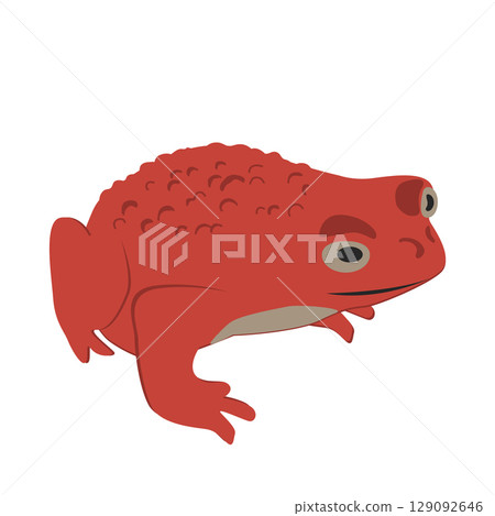 Cartoon red frog with warty skin. Frog clipart isolated on white. Halloween creepy design element. Vector illustration 129092646